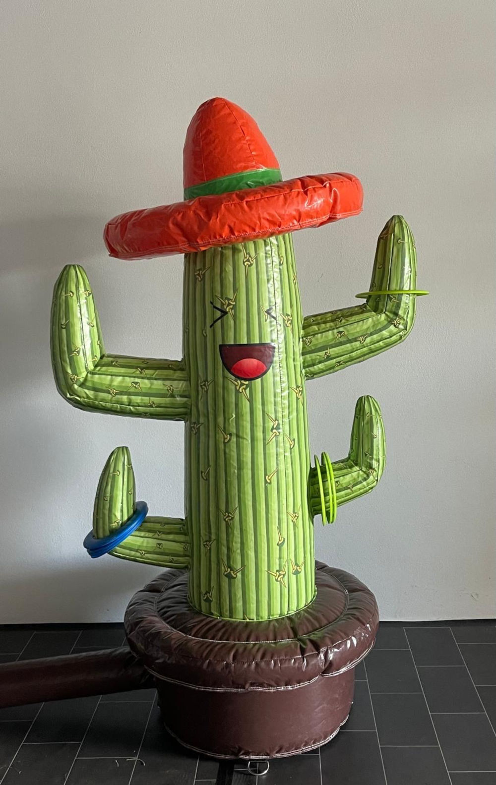 Wurfspiel Kaktus