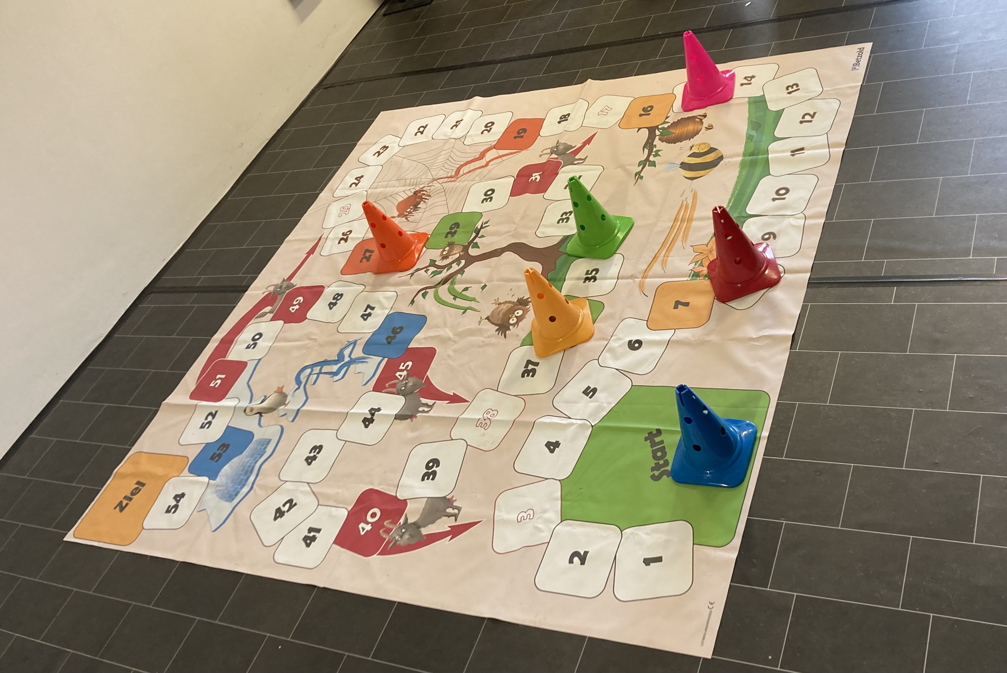 Leiterspiel XXL